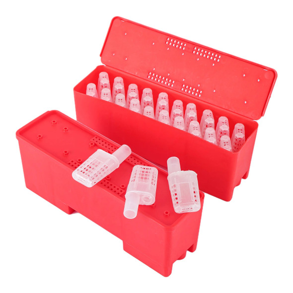 Beekeeper Supplies Queen Bee Transport Box With Queen Cages Rearing Equipment Queen Cell Plastic Incubator Beekeeping Tool