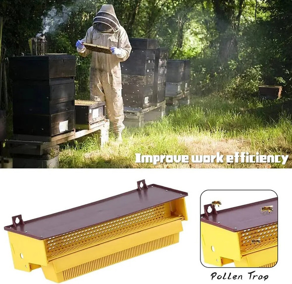 Beekeeping Plastic Pollen Trap Yellow With Removable Ventilated Pollen Tray Pollen Collector Supplies Tools Beekeeping Plastic Pollen Trap Yellow With Removable Ventilated Pollen Tray Pollen Collector Supplies Tools