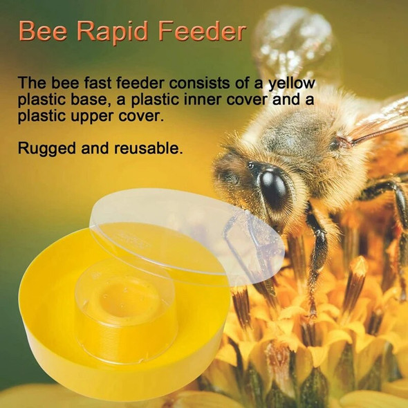 Bee Feeder Hive Round Hive Top Water Feeder Drinking Bowl For Bees Drinking And Beekeeping Supplies (2-Pack) Bee Feeder Hive Round Hive Top Water Feeder Drinking Bowl For Bees Drinking And Beekeeping Supplies (2-Pack)