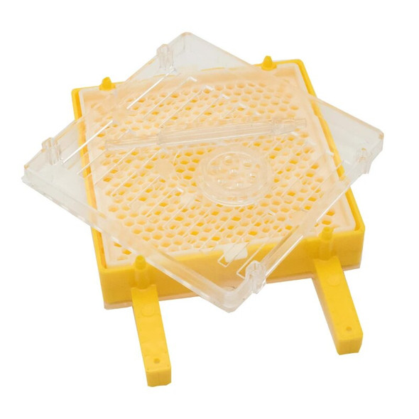 2SET Apiculture Beekeeping Jenter Queen Rearing Incubation System Box Cage Holder Plastic Cell Cup Bees Tool Beekeeping Supplies