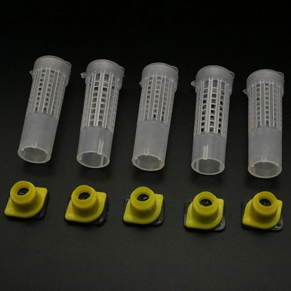 Wholesale 200PCS Protective Cover Cage 1000PCS Brown Cel Plastic Queen Rearing System Beekeeping Bee Tools Supplies Cupkit