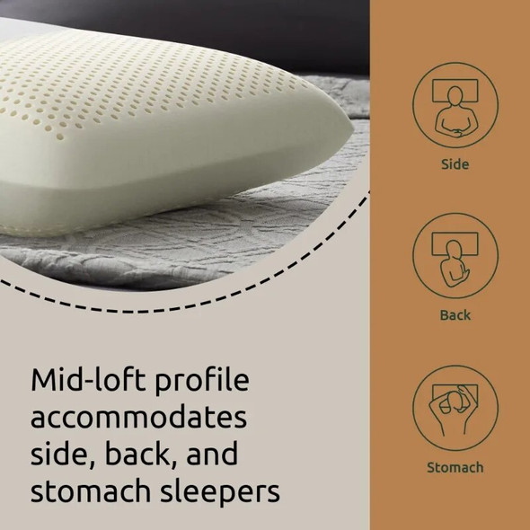 Talalay Latex Foam Mid-Loft Pillow, Queen, Mid-Loft, Rest Haven