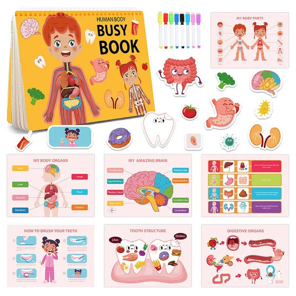 Children Human Organs Quiet Book Montessori Toys Parish Body Structure Learning My First Busy Book Educational Game Sensory Toys