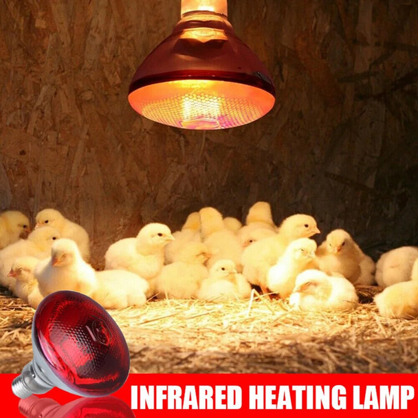 250w Infrared Heat Lamp Waterproof Anti-Explosion Thickened Light Bulbs For Piglet Chicken Birds