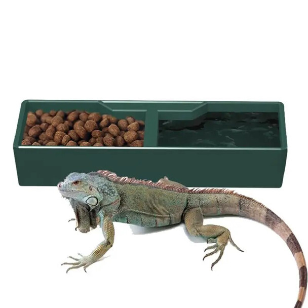 Reptile Bowl 2 Compartments Dark Green Reptile Water Dish Reptile Feeder Habitat Decor Terrarium Dish For Lizard Frog Gecko