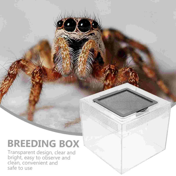Tank Snake House Reptile Habitat Box Feeding Crab Terrarium Enclosure Breeding Container Cage Tarantula Bowl Spider Cricket