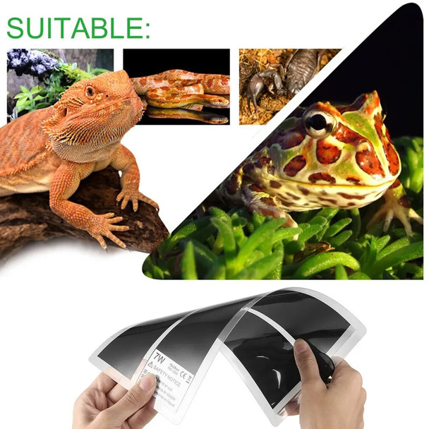 110V 7W Pets Rapid Heating Sheet Reptile Crawler Waterproof Temperature Heating Pad Warmer Mat with Temperature Controller