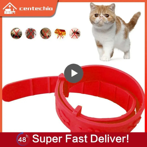 1/10PCS Pet Cat Dog Kitten Protect Collar Adjustable Pet Cat Collar Flea Insect Deworming Collar Pest Control Accessories Tools