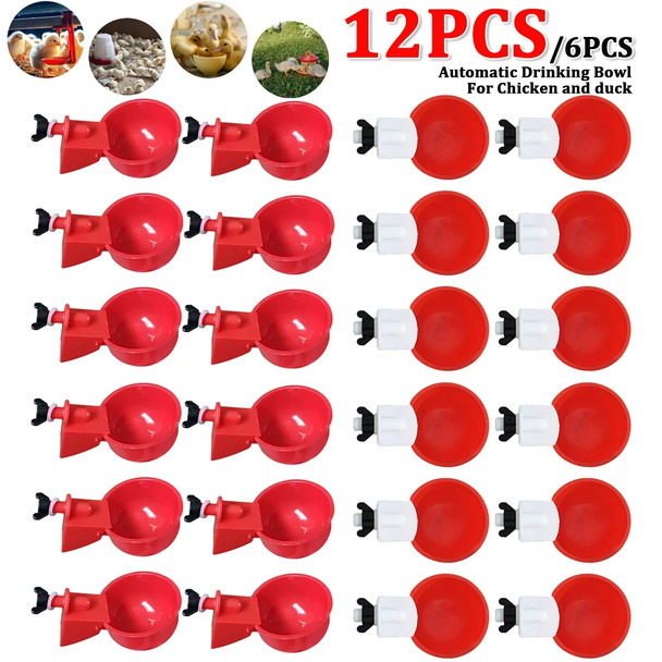 6/12pcs Automatic Chicken Water Cups Poultry Waterer Bowl Chicken Coop hens Feeder Drinker Cups for Rabbits Duck Goose Bird