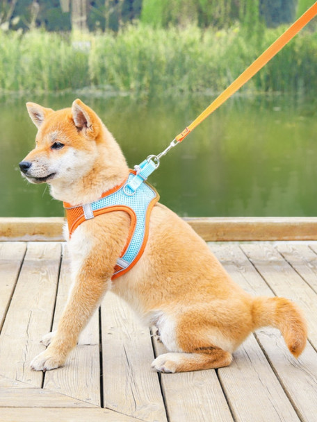 Puppy Vest Harness Hand Leash Cat Breathable Chest Strap Pet Leash Suitable for Small and Medium-sized Dogs To Walk The Dog