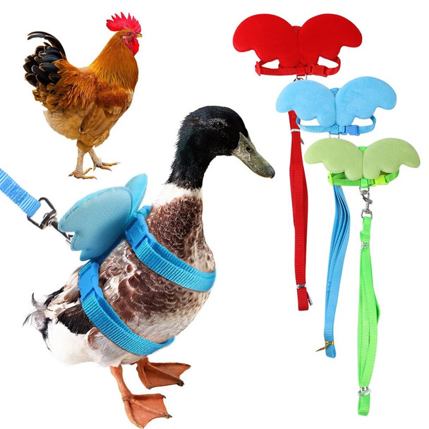 Chicken Vest Small Pet Leash Harness Matching Collars Angel Wings Comfortable Leads Breathable Rabbit Accessories Bunny Clothing