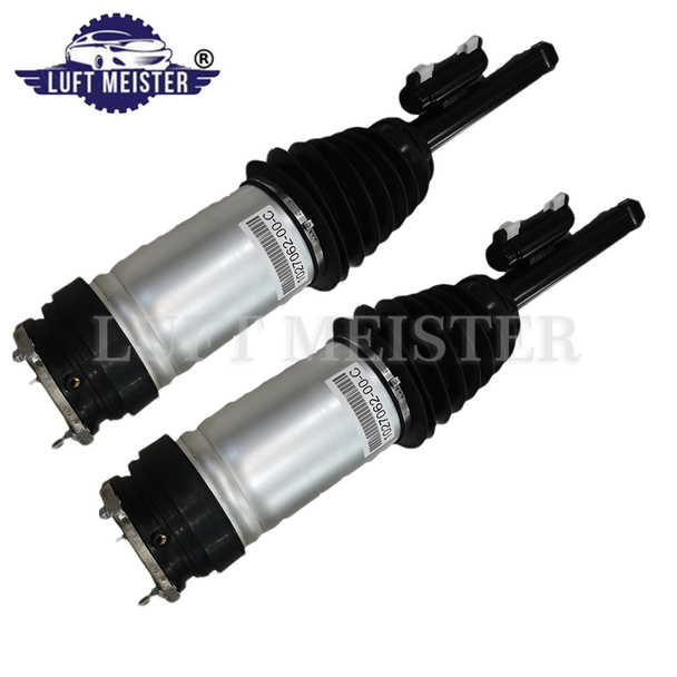 Pair Rear Left & Right Shock Absorber for Tesla Model X 2020-2022 4WD 1027067-00-C 1027067-00-D