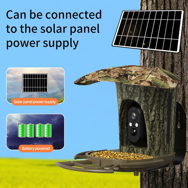 WiFi 4G SIM Bird Detection Outdoor Bird Feeder with Camera Solar Panel
