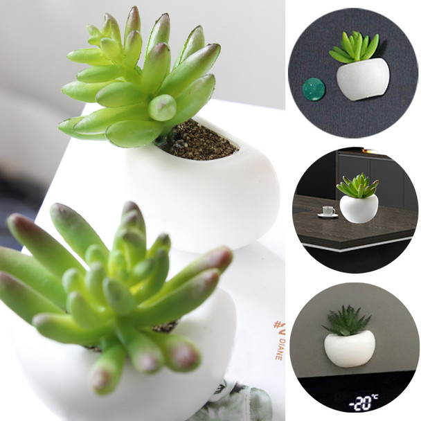 1pcs/Set Fridge Magnets Cute Cactus Succulent Plant photo Magnet Button Refrigerator Message Sticker Home Decoration