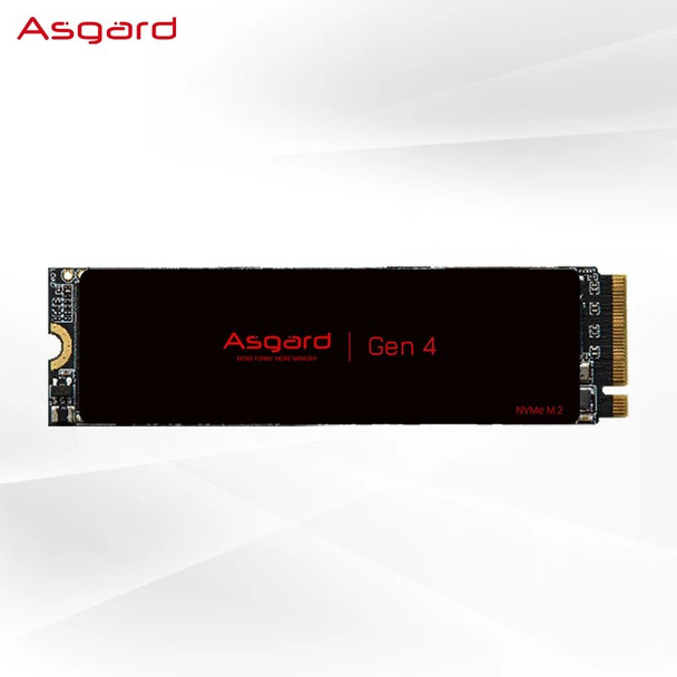 Asgard M2 512Gb PCIe 4.0 Lite SSD NVME 512Gb 1Tb 2Tb Solid State Drive Internal Hard Disk for Laptop Cache