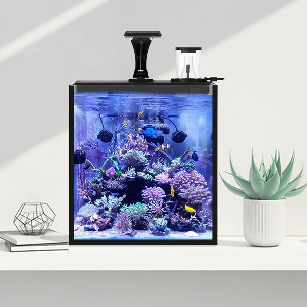 Creative Fish Tank Decoration Office Living Room Desktop Ecological Acrylic Transparent Fish Tank Gifts Acuario Fish Aquarium