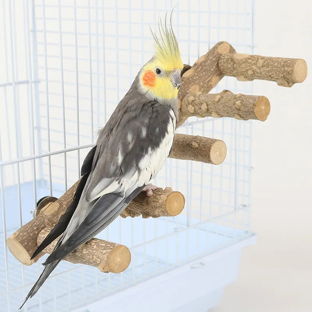 Natural Wood Parrot Bird Perches Bird Stand Paw Grinding Fork Parakeet Climb Stand Branch Ladder Toys Bird Cage Bird Accessories