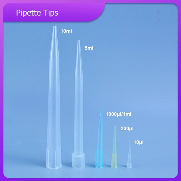 DXY Lab 10ul 200ul 1000ul 5ml 10ml PP Plastic Pipette Tips For Chemistry Test Pipettor Tips/ Disposable Pipette Tips PP material