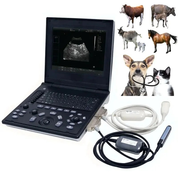 Veterinary B-Ultrasound Machine Support 7 languages Notebook B/W Ultrasound Scanner USG with Report Page