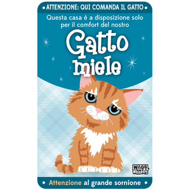Targa Per Gatto Un Casa Non È Un Focolare Ornamento Grigio
