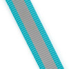 Guardian Gear Reflective 4 FT Lead & 6-10" 3/8" Collar Gift Set Free Greenies