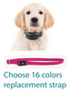 Sparky Pet Co Set of (2) Nylon Solid 3/4 " Wide Stubborn Dog Stay + Play Receiver straps- 16 Colors