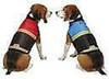 Kong Safety Dog Outdoor Vest with Reflective Stripe for Night Visibility