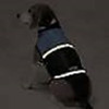 Kong Dog Outdoor Adventure Vest with Reflective Stripe for Night Visibility