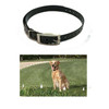 PetSafe, Dogtra Compatible 1" Square Buckle High Flex Black Waterproof Strap