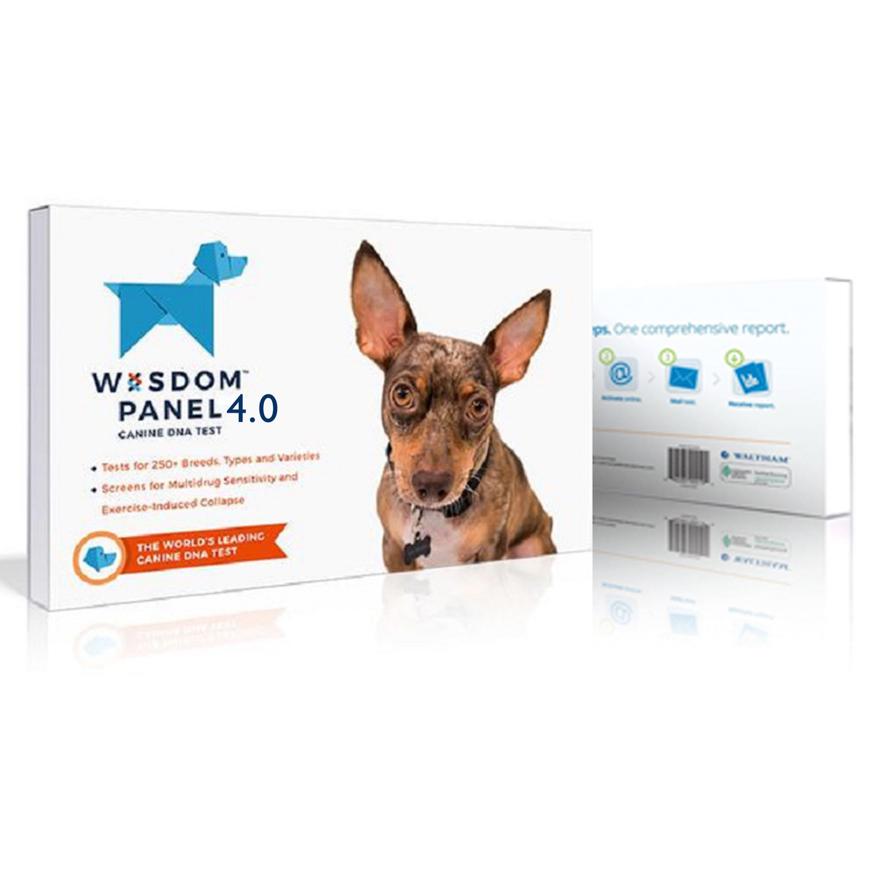  Wisdom Panel Essential Dog DNA Kit: Most Accurate Test