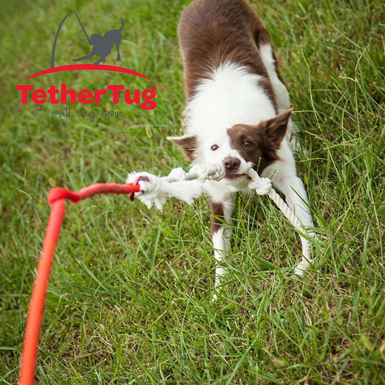 Tether Tug Medium Outdoor Dog Toy Interactive Backyard Tugging