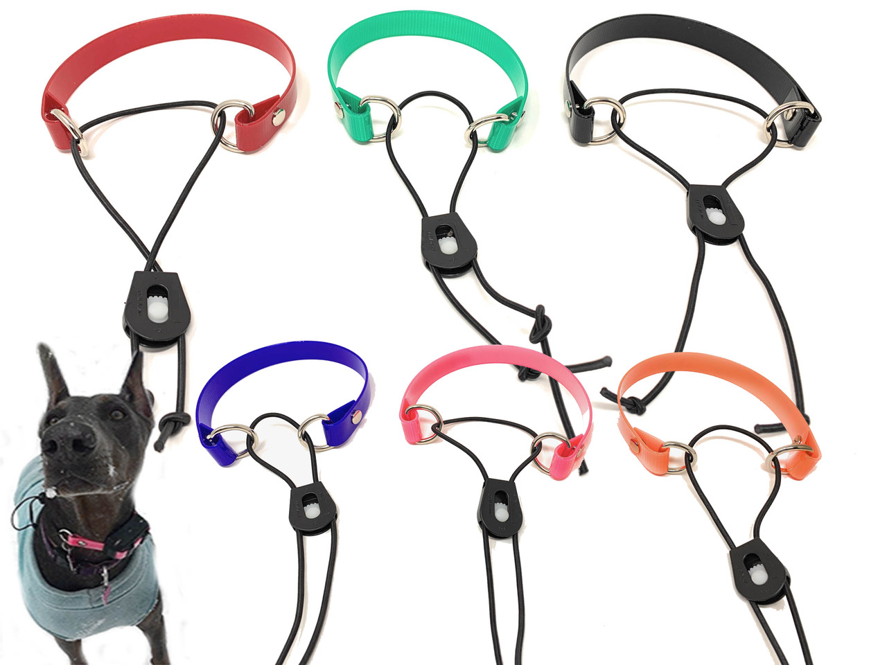 Dog (Pet) Harness Strap Replacement - iFixit Repair Guide