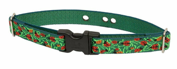LupinePet Basics 1" Beetlemania 19-31" Containment Collar Strap for Large Dogs