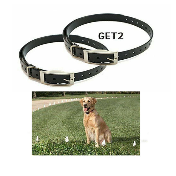0 Dogtra, Garmin, E-Collar 3/4" Black Square Buckle High Flex Dog Straps