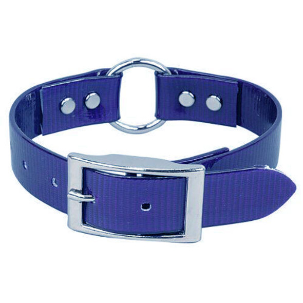 Omni Pet Sunglo Ring in Center Dog Collar, 1 x 18", Blue