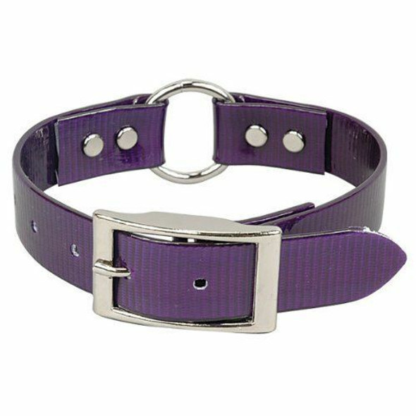 Omnipet Sunglo Ring In Center Dog Collar, 1 X18", Purple