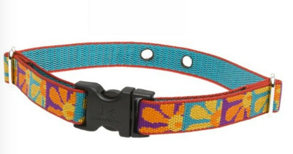 Lupine Crazy Daisy Dog Containment Large Dog Collar 2 Hole 1.25" 19-31"