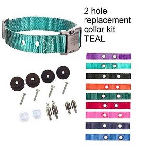 Sparky Pet Co Compatible 3/4" Heavy Duty 2 Hole 1.25" Replacement Strap,Teal with