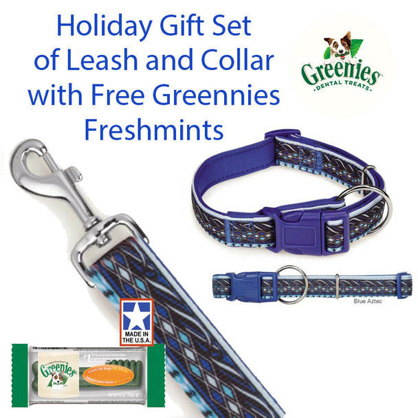 Blue Aztec 4 FT Lead 3/8" 6-10" Collar Gift Set & Free Greenies