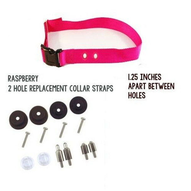 Sparky Pet Co Compatible PetSafe 1" Raspberry Pink Color Dog Replacement Collar
