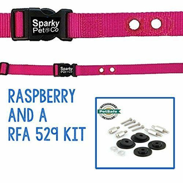 3/4" Strap with 2 Holes 1.25" Apart And PetSafe RFA 529 Accessory Kit