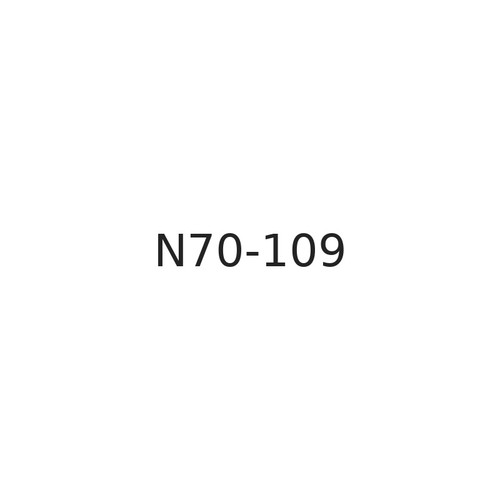 N70-109 American O-Ring