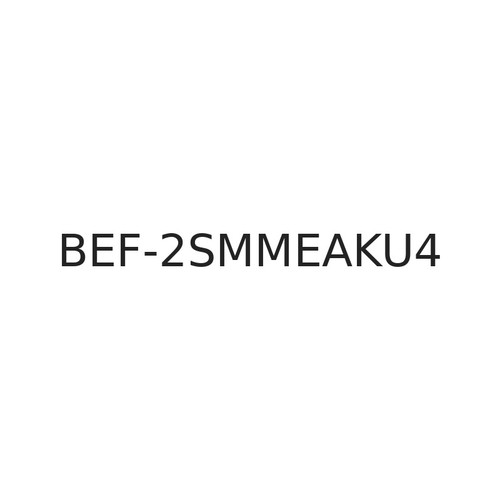 SICK BEF-2SMMEAKU4 Mounting System