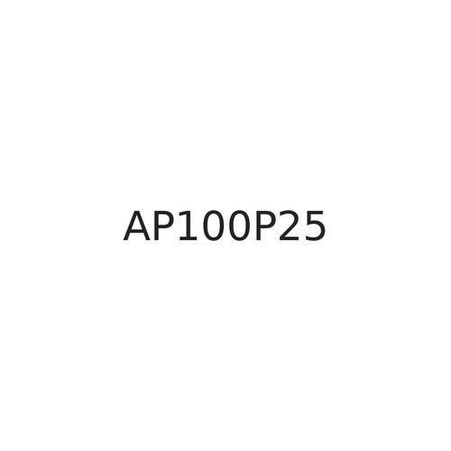 AP100P25 Strainrite Company Filter 7 Inches