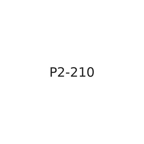 P2-210 1/4 Dia X 1.210 A=1.250 Shoulder Leader Pin