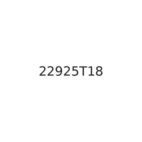 22925T18 Caster