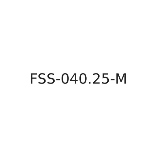 Bimba FSS-040.25-M Cylinder
