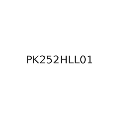 PK252HLL01 Cylinder Parts