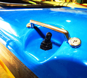 Bilge Switch including wiring