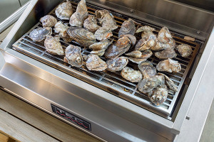 TEC Grills G-Sport Infrared Smoker/Roaster - GSRSMKR TEC Grills G-Sport Infrared Smoker/Roaster - GSRSMKR